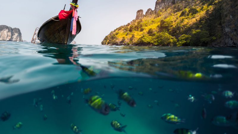 56248578 - split shot with fish underwater and long tail boat on the surface. focus on the boat only